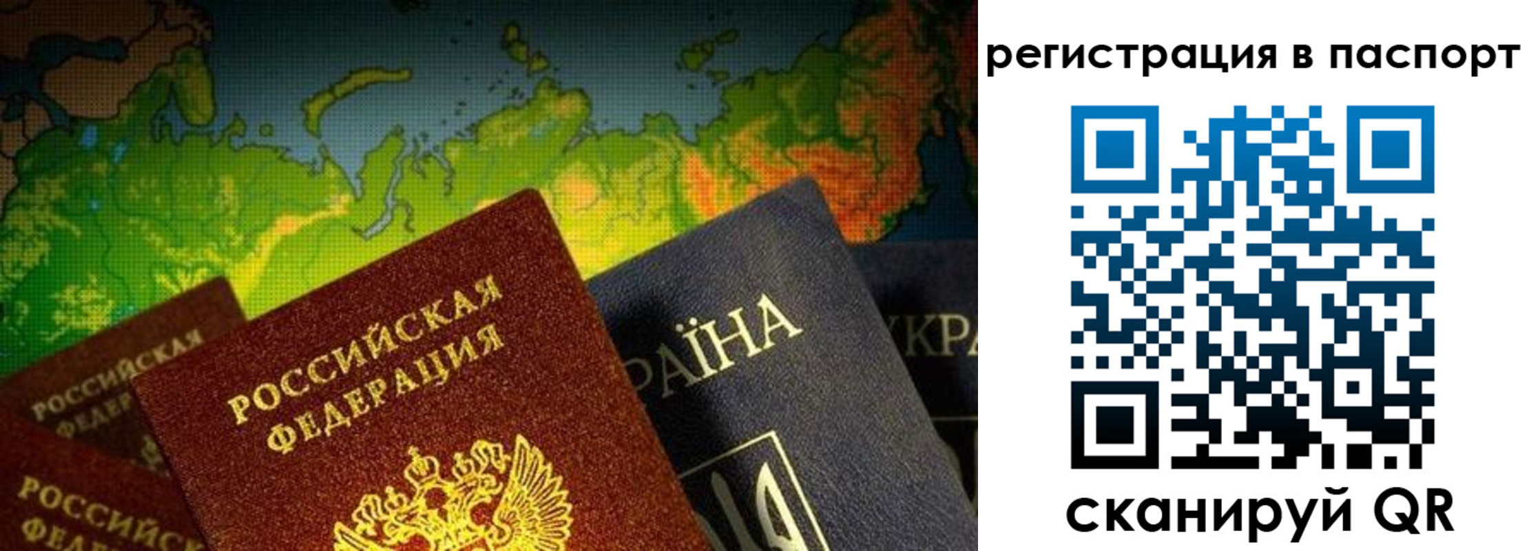 временная регистрация гарантия в Волосово